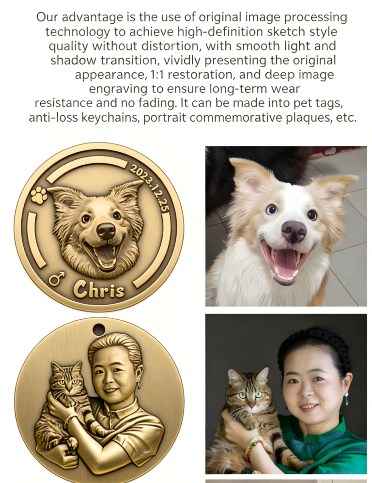 宠物猫狗牌翻译(1)