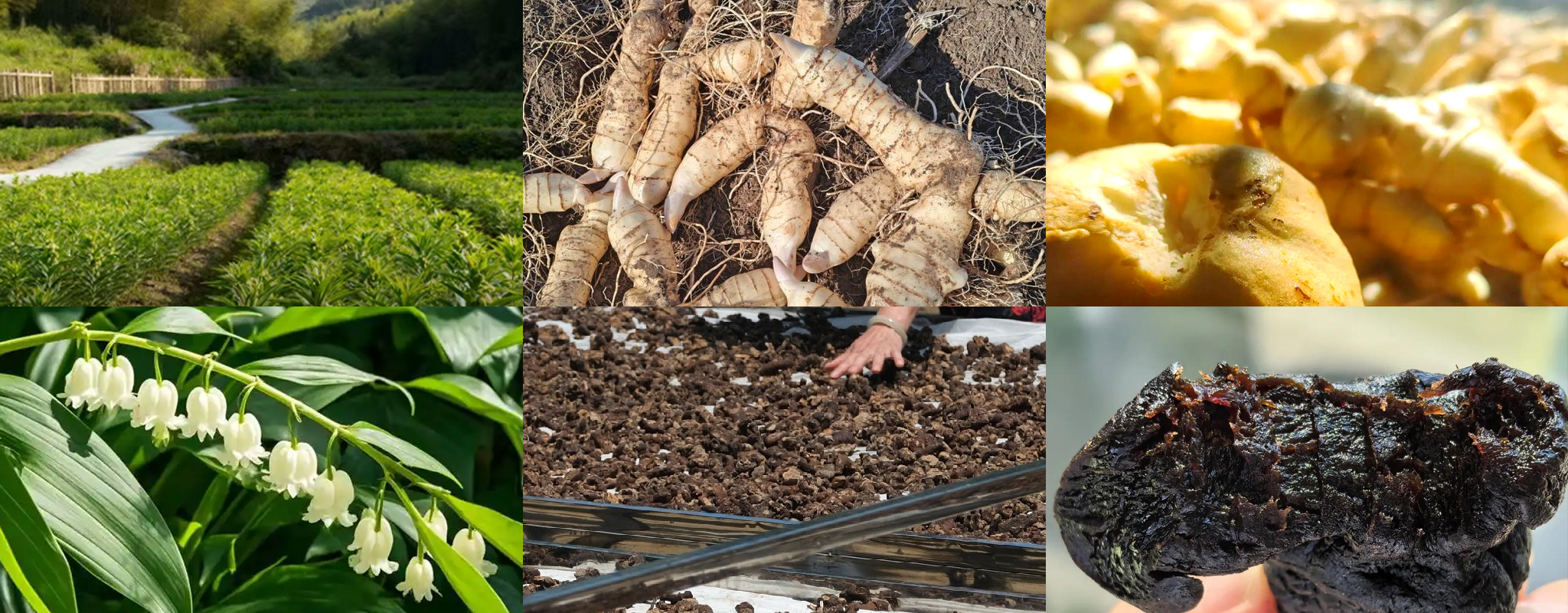 微信图片_20260318095957_91_2052