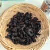 Solomon’s Seal Root Gift Box
